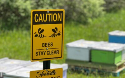 CAK Brings Bees to Airport